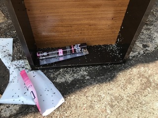 タンスの中の蟻の巣